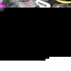 Profile Picture of Alisha Pritchett (@sexy_baby12495) on Myspace