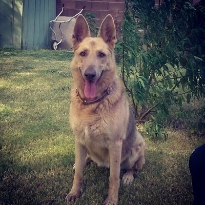 Profile Picture of Daryl Worley (@DarylWorley) on Twitter