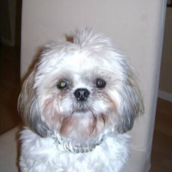 Sandra Dolinar - Poshmark Profile Picture of Sandra Dolinar (@sandradolinar) on Poshmark