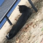 Ayden Erdman - Facebook Profile Picture of Ayden Erdman (@Ayden-Erdman) on Facebook