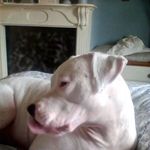 Profile Picture of Roberta Sims (@roberta.sims.904) on Instagram