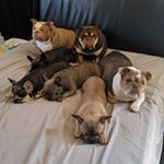 Mark Crigler - Instagram Profile Picture of Mark Crigler (@markcrigler) on Instagram