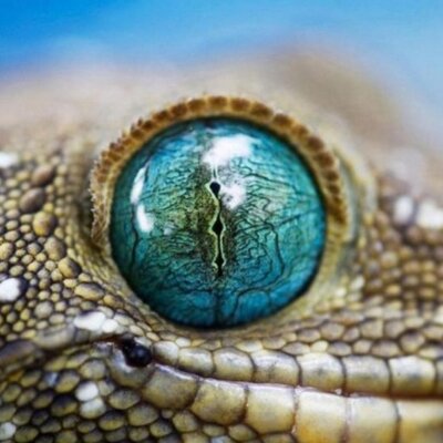 Profile Picture of Yolande Knight (@yolification) on Twitter