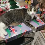 Profile Picture of Derek N Shalin (@derek.n.shalin) on Facebook