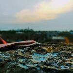 Profile Picture of Apurva Koduganti (@apurva_koduganti) on Instagram