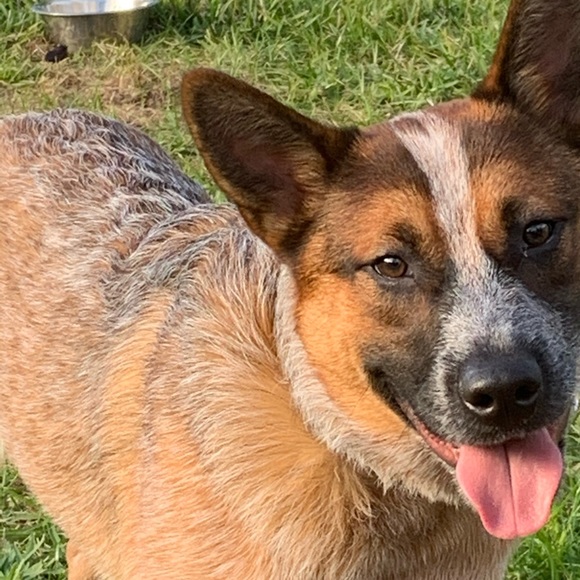 Profile Picture of Jennifer Radock (@jennrad1) on Poshmark