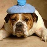 Profile Picture of Cathy Klein (@klein_cathy) on Instagram