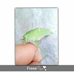 Profile Picture of Julia Arellano (@julia.arellano.92754) on Instagram