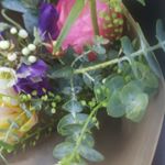 Profile Picture of Chloe Hicks (@miltonhickschloe) on Instagram