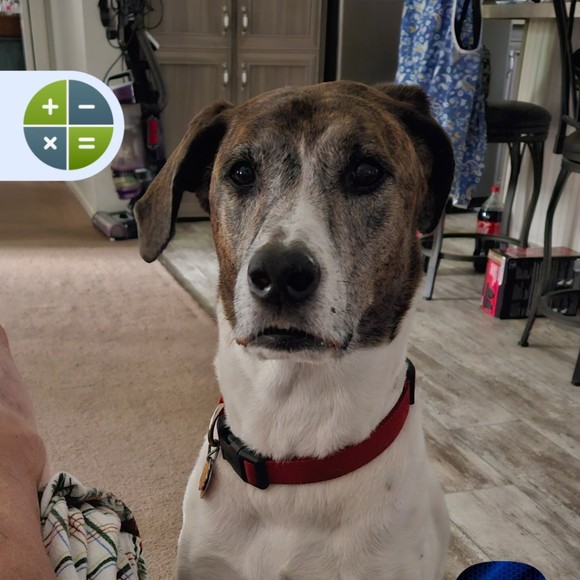 Profile Picture of David Lyons (@davidlyons845) on Poshmark