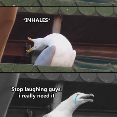 Profile Picture of Kevin Nazar (@UnSeriousGamer) on Twitter