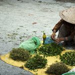 Profile Picture of Barrett Boyd (@barrettboyd) on Instagram