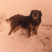 Profile Picture of Julian Navarro (@juliannavarro8446) on Youtube