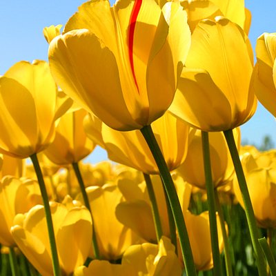 Profile Picture of Jacklin (@Jacklin_thomas1) on Twitter