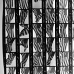 Profile Picture of Stephen Salmieri (@stephensalmieri) on Instagram