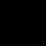 Profile Picture of Tanner Haynes (@tannerhaynes777) on Instagram