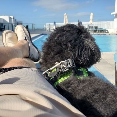 Profile Picture of Scott (@scottballou04) on Twitter