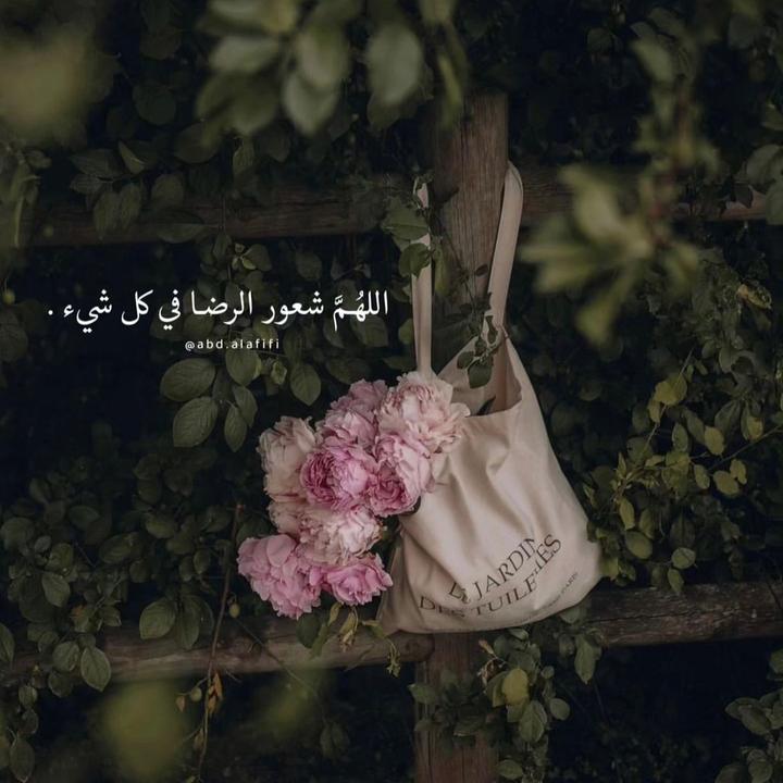Profile Picture of Hadeel Salameh782 (@hadeelsalameh782) on Tiktok