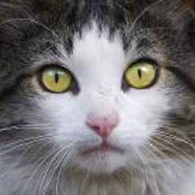 Profile Picture of Jennifer Grim (@JGRIM85) on Twitter