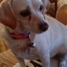 Profile Picture of Pat Holguin (@holguin_pat) on Twitter