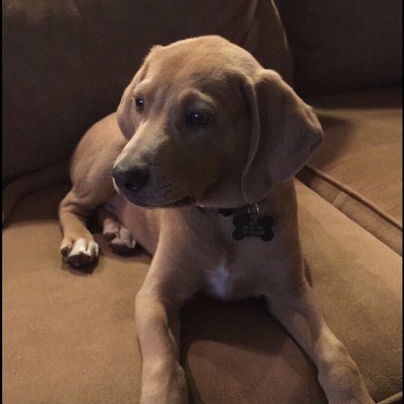 Profile Picture of Sean Hizon (@shizon) on Poshmark