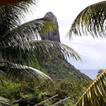 Profile Picture of Casa do George Gringo Noronha (@georgehousenoronha) on Instagram