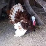 Profile Picture of Michael Cernik (@michael_cernik) on Instagram