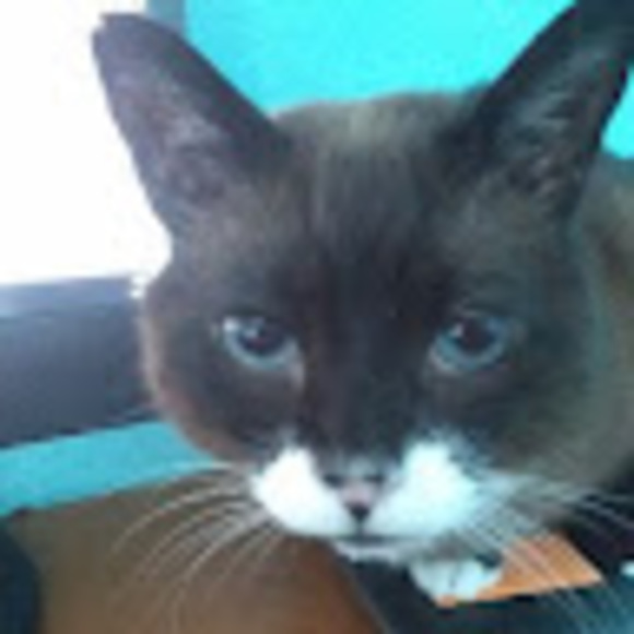 Profile Picture of Mel Horton (@hazleyes1971) on Poshmark