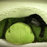 Profile Picture of Siu Loong WoO （小龍WoO) (@siuloongwoo) on Instagram