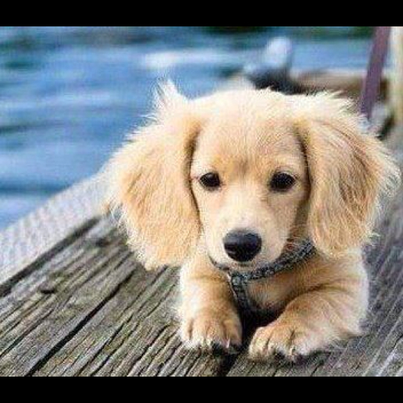 Profile Picture of Yoonjin Kim (@mare6722) on Poshmark