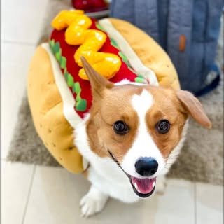 Profile Picture of James Ponitz (@jamesponitz) on Instagram