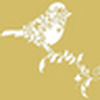 Profile Picture of Sam Bird (@GoldenCanaryBird) on Flickr
