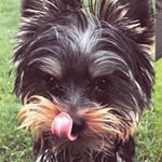 Thomas Buxbaum - Instagram Profile Picture of Thomas Buxbaum (@thomas_8uxl) on Instagram