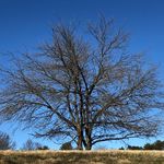 Profile Picture of Bill Nugent (@heaventreerecords) on Instagram