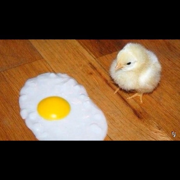 Profile Picture of Jonathan Espinosa (@cocohead377) on Poshmark