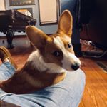 Profile Picture of Andrew Minnotte (@andrewdminnotte) on Instagram