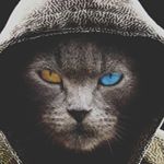 Profile Picture of Aaron Martens (@aarn.mxr) on Instagram