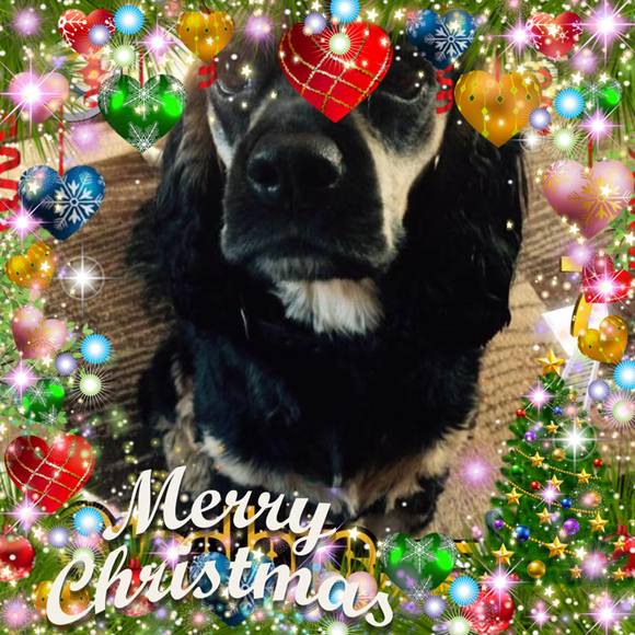 Marlene r. Randell - Poshmark Profile Picture of Marlene r. Randell (@mark0338) on Poshmark