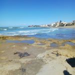 Profile Picture of Rita  Nappini (@ritanappini) on Instagram