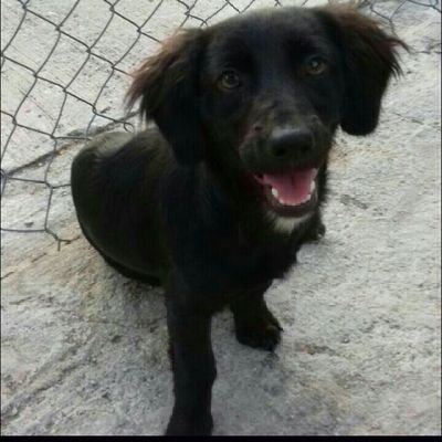 Profile Picture of Xavier Estrella Gallegos (@XavierEstrell19) on Twitter