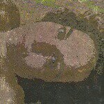 Cristina Migliaccio - Instagram Profile Picture of Cristina Migliaccio (@trilki) on Instagram