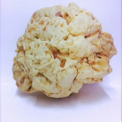 Profile Picture of Ben Wardell (@_BenWardell) on Twitter