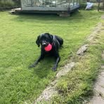 Profile Picture of Peter Castaldi (@peter.castaldi.5) on Facebook