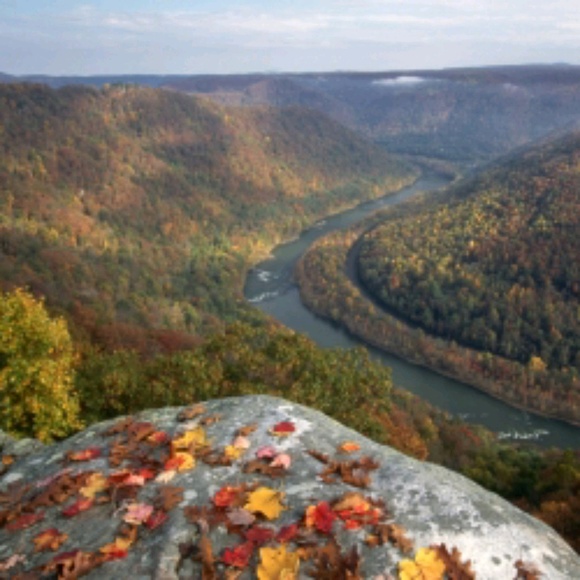 Profile Picture of Glenn Schwabe (@glennrose83) on Poshmark