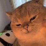 Andre Siregar - Instagram Profile Picture of Andre Siregar (@andrean_daud_ms) on Instagram