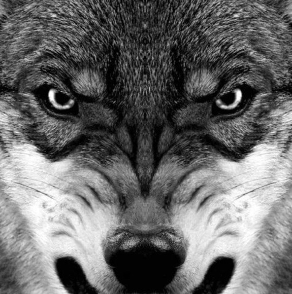 Profile Picture of Steven Moeller (@stevenmoeller) on Poshmark