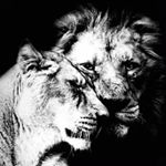 Profile Picture of mariocorsaro_1 (@mariocorsaro_1) on Instagram