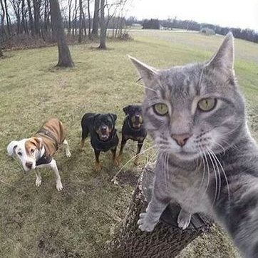 Profile Picture of Jason Estrada ✌ (@jasonestrada07) on Twitter