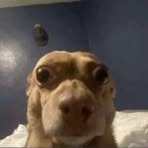 Profile Picture of Olivia Warren (@olivia.warren.9003) on Facebook