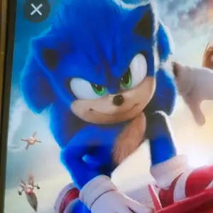 Profile Picture of sonic14 (@bernasonic14) on Tiktok